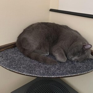 Corner Cat Shelf Perch / Wall Mounted Cat Furniture - w/ Hidden Brackets