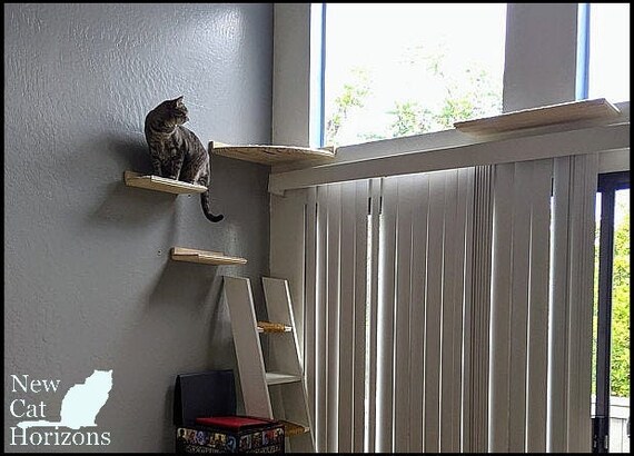 Diy floating cheap cat shelves