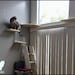 Floating Cat Shelf Set 4 pc. / Corner Perch with 1 Long, and 2 Short Shelves 