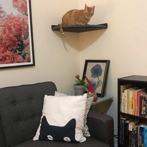 Floating Corner Cat Bed / Shelf - w/ Hidden Brackets