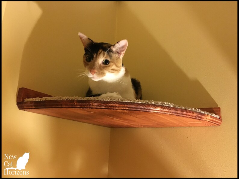 Floating Corner Cat Bed / Shelf - w/ Hidden Brackets 