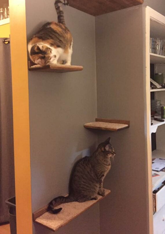 Floating Cat Shelf Set 3 pc. / 1 Long and 2 Short Shelves ... Floating Cat Shelf Set 3 pc. / 1 Long and 2 Short Shelves ...