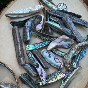 Abalone Shell - Jewelry Quality Abalone, Crystal Grids, Iridescent Abalone Jewelry Material, mother-of-pearl,