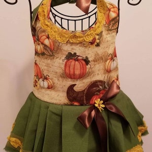 Abito da cane zucca autunnale