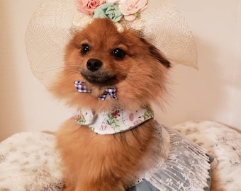 Sunny Bunny Easter Dress