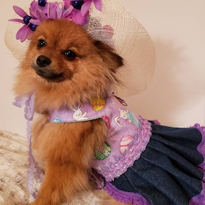 Ostereiersuche Hundekleid