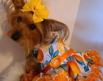 Orange I Cute