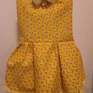 Busy Bee dog dress