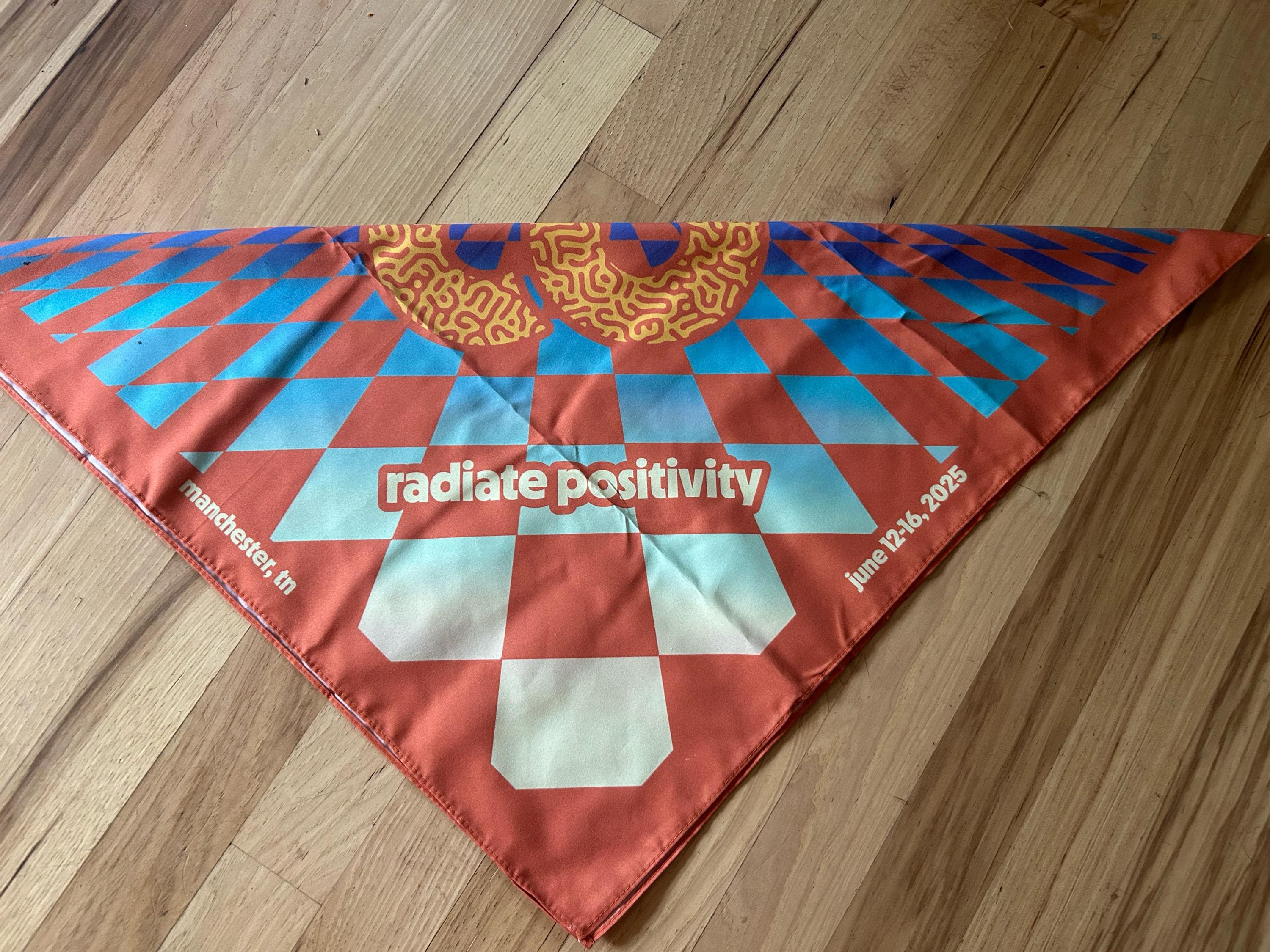 Bonnaroo 2025 Bandana | Radiate Positivity, Festival Bandana, Face