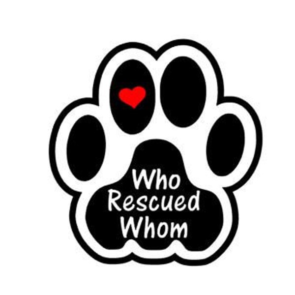 Who Rescued Whom / Cat Paw / Vinyl decal / Car Magnet
