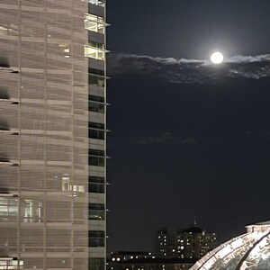 City Nights City Lights