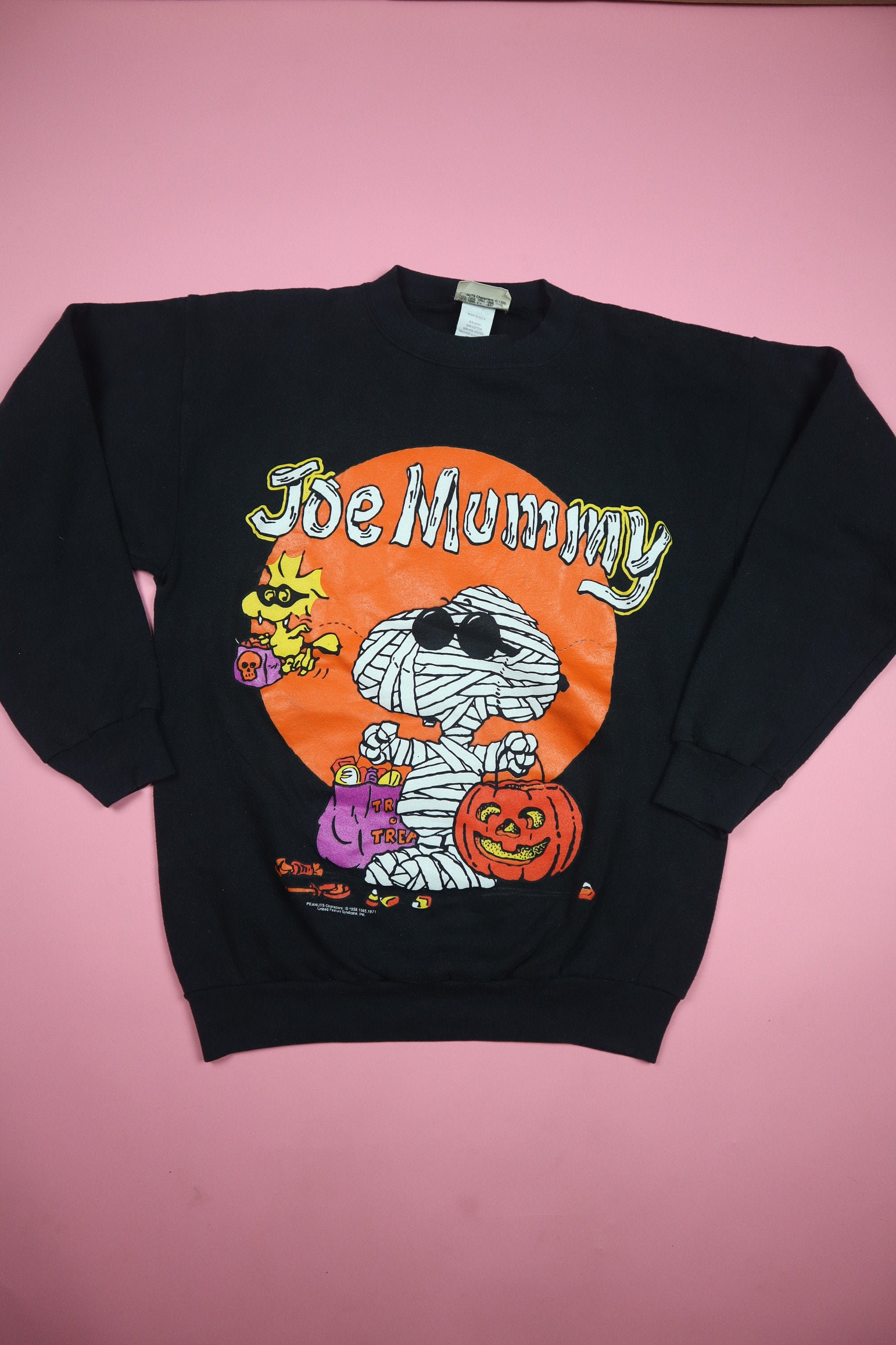 Joe Mummy Halloween vintage Peanuts sweatshirt Snoopy Woodstock