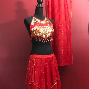 Child Bellydance Costume Set/Top/Skirt/Veil/Cover up Approx 7-11  year old