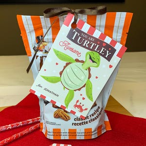 Eres increíble, tarjeta de San Valentín para el aula, tarjeta con forma de tortuga, tarjeta de San Valentín para la escuela, tarjeta personalizada, tarjeta con la frase "Eres una tortuga increíble"