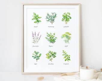 Watercolor kitchen printable art, kitchen herbs, basil, rosemary, cilantro, lavender, thyme, dill, sage, parsley, oregano, instant download