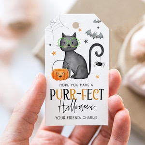 Op de afbeelding: Een witte Halloween-cadeaulabel met een grijze kat met een bril en een pompoenmand. De tag bevat de tekst "Hope you have a PURR-FECT Halloween" en "Your friend: Charlie". Vleermuizen, sterren en een spin zijn ook afgebeeld.