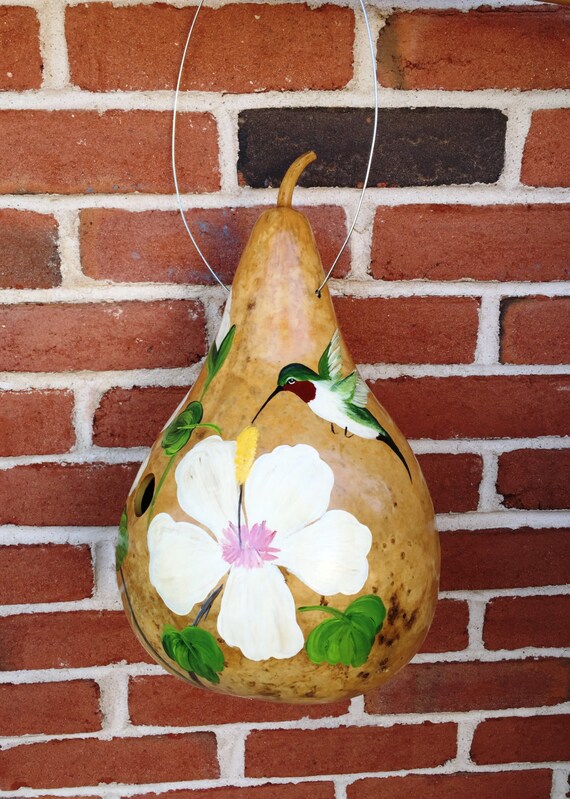Handpainted Gourd Birdhouse With Hummingbird and White | Etsy