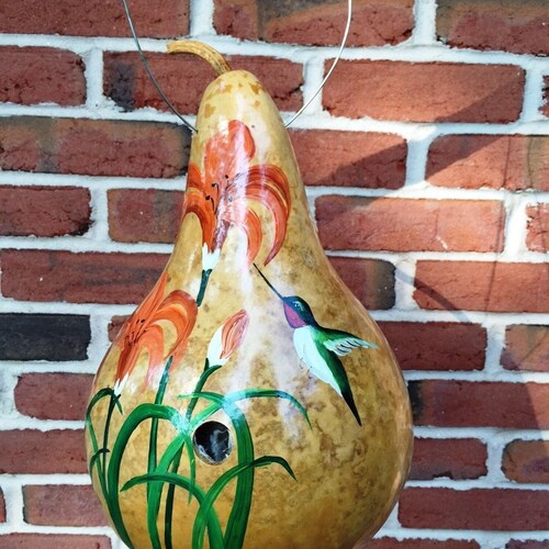 Handpainted Gourd Birdhouse With Cardinal and Daisies Etsy