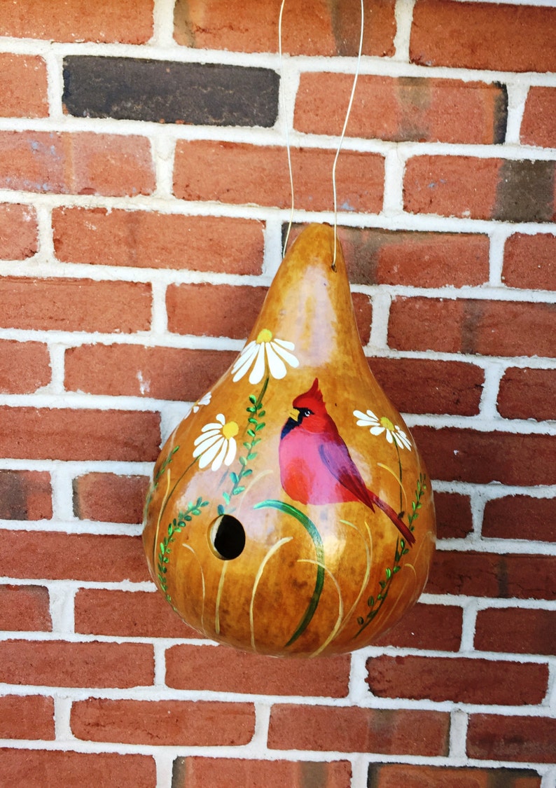 Handpainted Gourd Birdhouse With Cardinal and Daisies Etsy