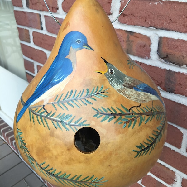 Hand painted gourd birdhouse with blue bird and baby
