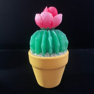 Resin cactus, potted resin cactus, potted plant, flowering cactus, succulent plant, flowering succulent, fake plant, fake cactus