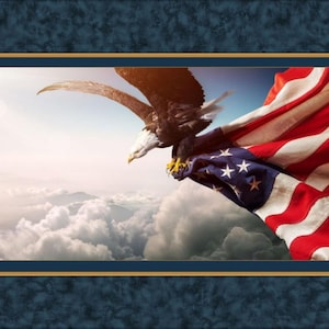 May include: A framed print featuring a bald eagle soaring with the American flag. The eagle has brown feathers and a white head, with the flag's red and white stripes and blue star field visible. The background shows clouds and a blue sky.
