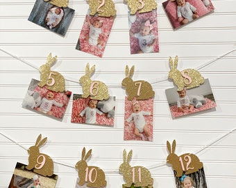 Bunny First Birthday Photo Banner | Some Bunny is One Party