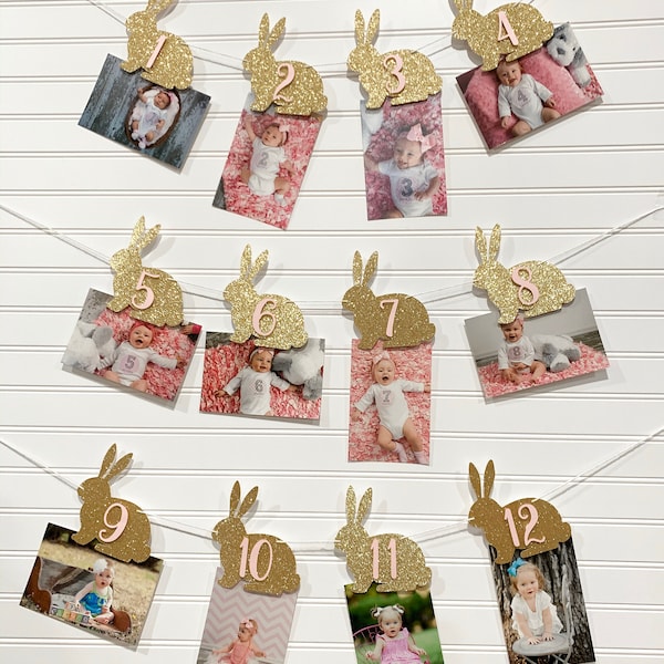 Some Bunny is One Monthly Photo Banner | Bunny Monthly Banner | First Year Photo Banner | Spring Birthday |