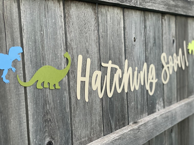 May include: A wooden fence with a sign that says "Hatching Soon!" in white letters. There are two dinosaur cutouts, one blue and one green, on the fence.