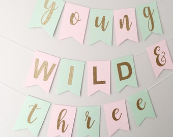 May include: A pink and green banner with gold glitter letters that reads "young & wild three".
