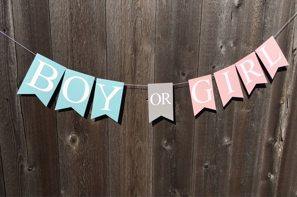BOY or GIRL Gender Reveal Banner Gender Reveal Banner Etsy