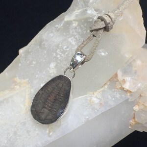 Genuine Fossil Trilobite and Sterling Silver Pendant: The &#39;Hoffi&#39; (1-3)