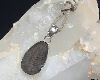 Genuine Fossil Trilobite and Sterling Silver Pendant: The 'Hoffi' (1-3)