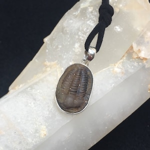 Genuine Fossil Trilobite and Sterling Silver Pendant: The &#39;Hoffi&#39; (1-4)
