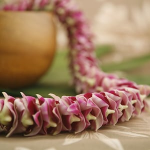 Hawaiian Lei &quot;Wili&quot; - Choose Your Delivery Date! - Fresh Flower Lei From Hawaii - Orchid Lei Authentic Fresh Flowers Graduation Wedding
