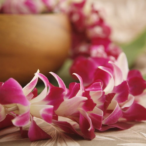 Colliers frais "Orchid Lei" d'Hawaï ! - Lei hawaïen - Choisissez votre date de livraison ! - Lei de fleurs fraîches, mariages hawaïens, remise des diplômes Luau Tiki
