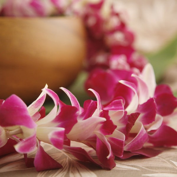 Fresh Lei "Orchid Lei" from Hawaii! - Hawaiian Lei - Choose Your Delivery Date! - Fresh Flower Lei Hawaiian Weddings Graduation Luau Tiki