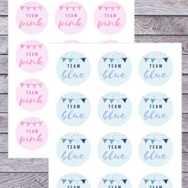 Team Pink// Team Blue Printable 2" Circle Stickers- Compatible with Avery Blank Circle Stickers. Gender Reveal Party // Baby Shower