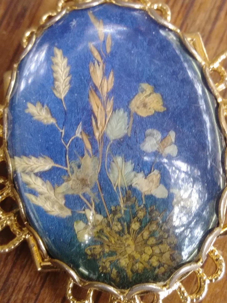 Dual purpose brooch or pendant Pressed dried flowers under a Etsy