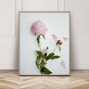 Pale Pink Wall Art - Peonies Flowers Picture - Peony Flower Print - Floral Poster Download - Large Peony Printable Wall Art