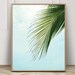 Melissa P Lee reviewed Palm Leaf Print, Tropical Leaf Photo, Palm Tree Print, Tropical Decor, Tropical Leaf Print, Wall Decor, Botanical Art, 8x10, 11x14, Prints