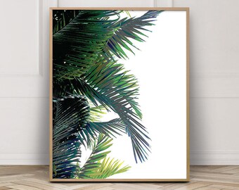 Palm Leaf | Palm Leaf Print | Digital Prints | Wall Art | Palm Print | Botanical Artwork | Palm Tree Print | Palm Tree Art | Poster