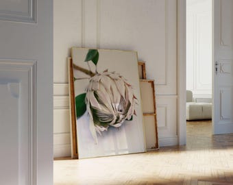 Stampa di un fiore di protea – Quadro botanico da parete per camera da letto, soggiorno o cameretta dei bambini.