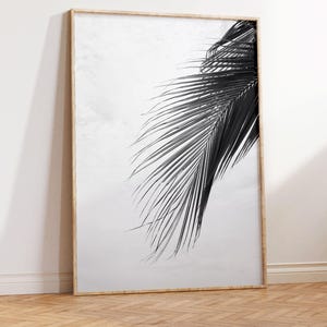 Impressions tropicales noir et blanc - affiche de feuille de palmier - art de feuilles tropicales - affiche monochrome - impression botanique noir et blanc image 8