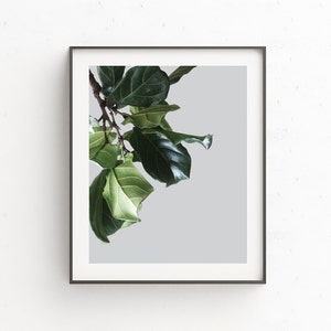 Botanical Print, Art Print, Wall Art Prints, Wall Decor, Leaves Poster, Bedroom Decor, Digital Prints, Instant Downloads, Photography