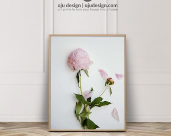 Stampa di peonia rosa pallido - Decorazione murale floreale (download digitale)