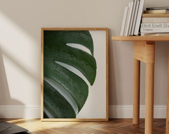 Monstera Picture - Large Leaf Prints - Plant Artwork - Green Leaves Wall Art - Tropical Leaf Photography - 8x10 Botanical Print *