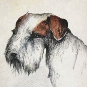 Carte postale ancienne non écrite Chien Fox Terrier illustrateur Anglais M.B. COOPER 1930