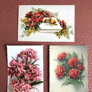 Cartoline Antiche Scritte Fiori Garofani, Anemoni e Mimose, 1920-1930 Collezione CPA Francia