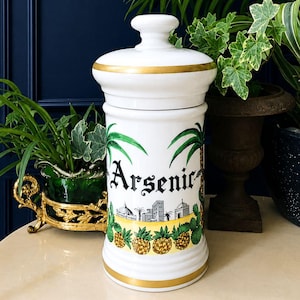 ARSENIC Grand Pot d’Apothicaire, Limoges Della Torre, Paysage Oriental, Serpents d'Epidaure